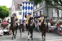 IMG_6561 (2) 